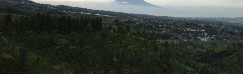 Short Getaway: Puncak