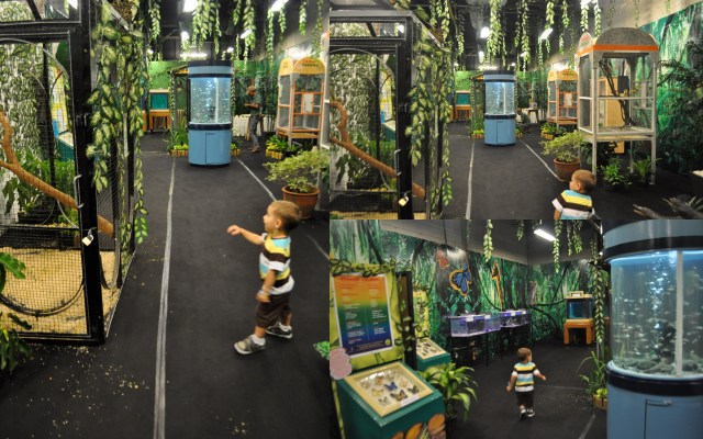 FX Mall Giggle Fun Factory