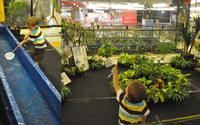 FX Mall Giggle Fun Factory2