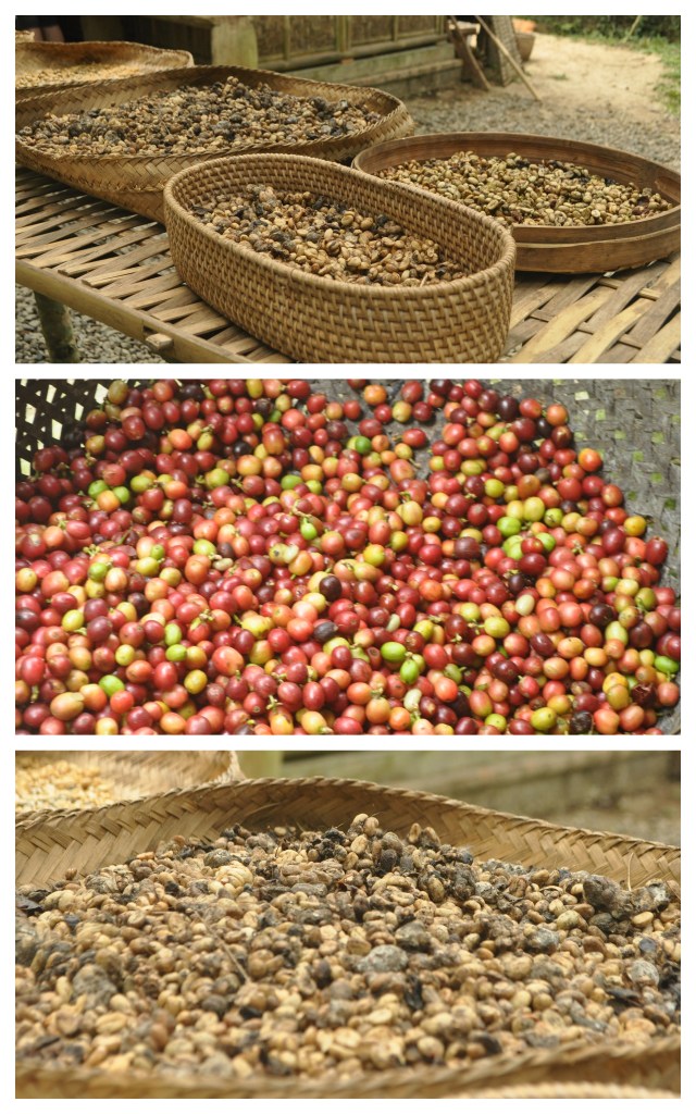 Bali September 20123