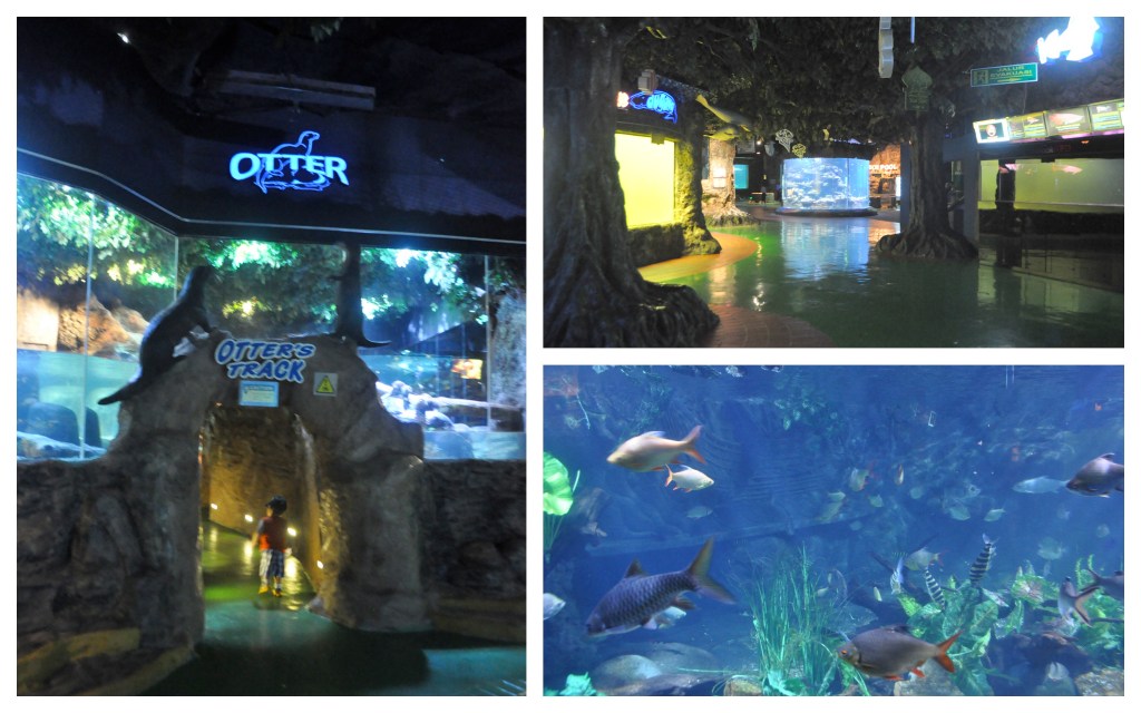 Sea World September 20121