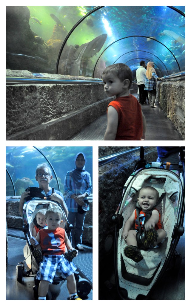 Sea World September 20124