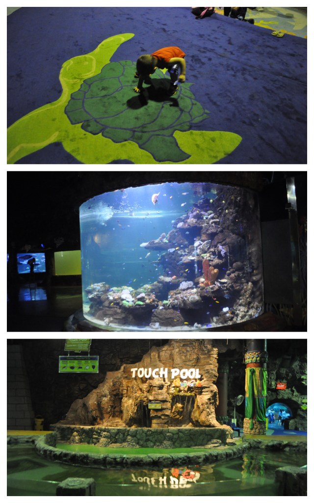 Sea World September 20125