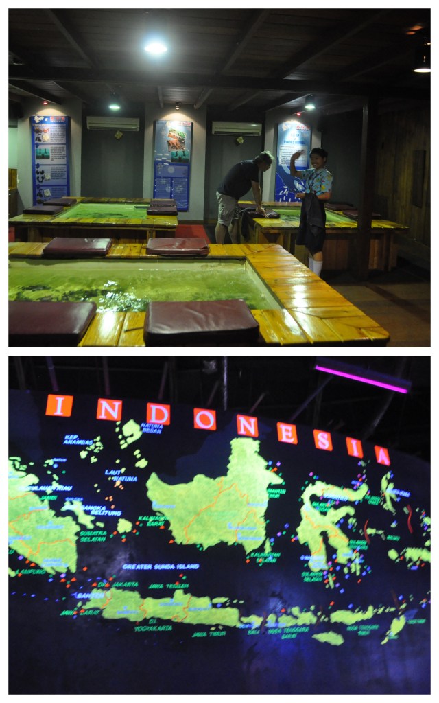 Sea World September 20127