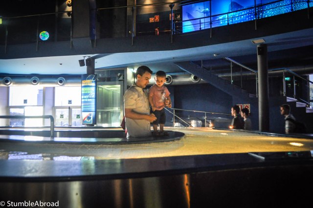 Looking at stingrays 