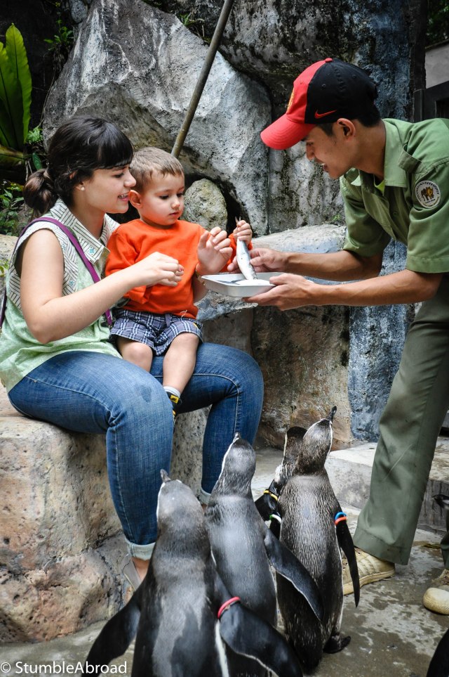 Learning how to feed them 