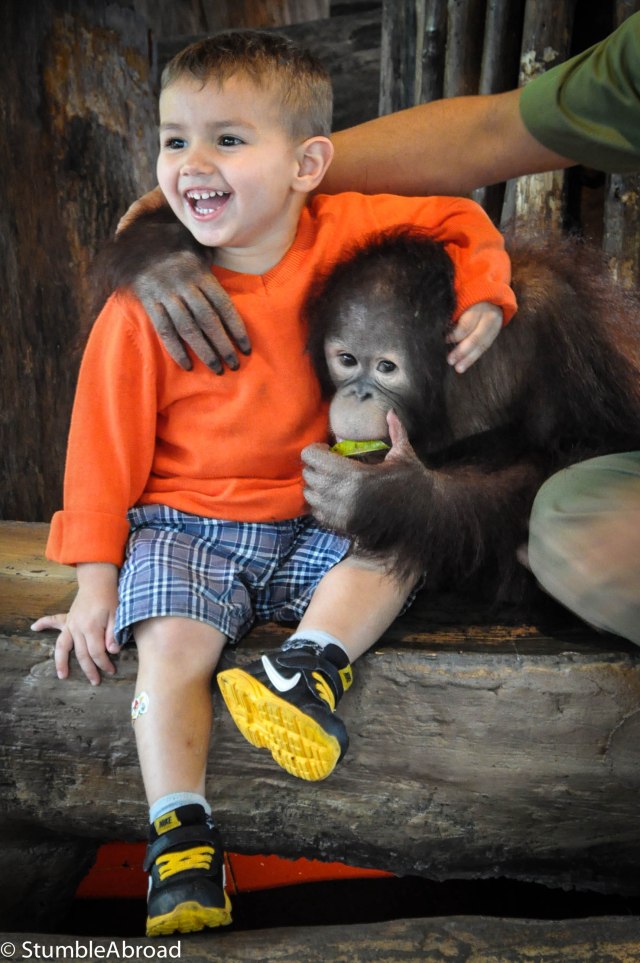 He found a new friend 