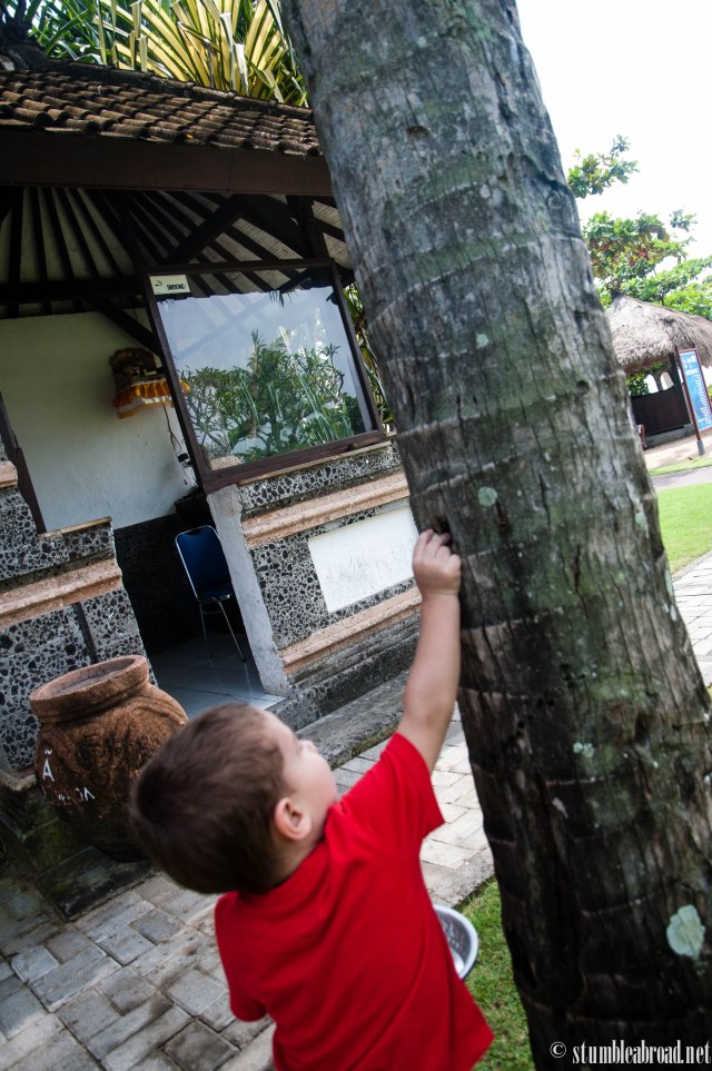 There's one up there!