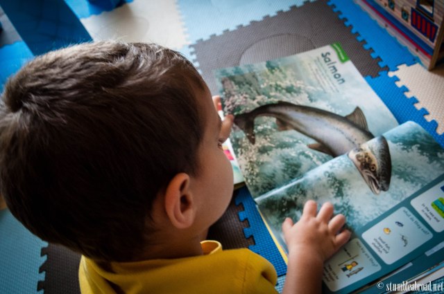 A little bit of science 