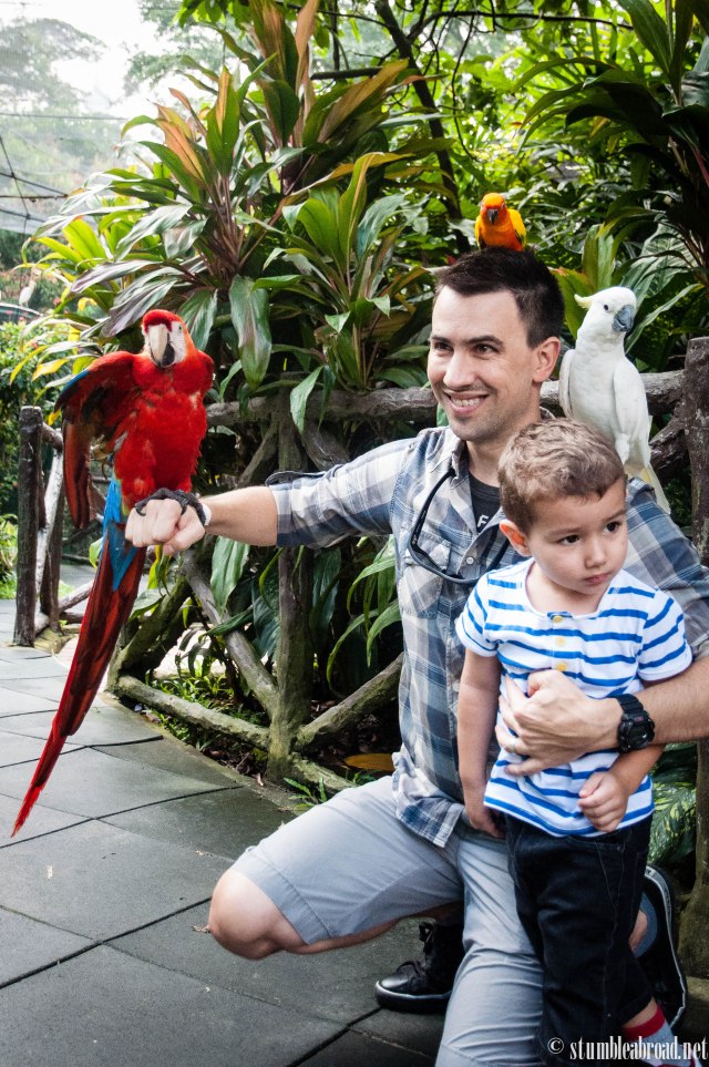 Holding the birds. Evan wasn't too sure he was into this. 