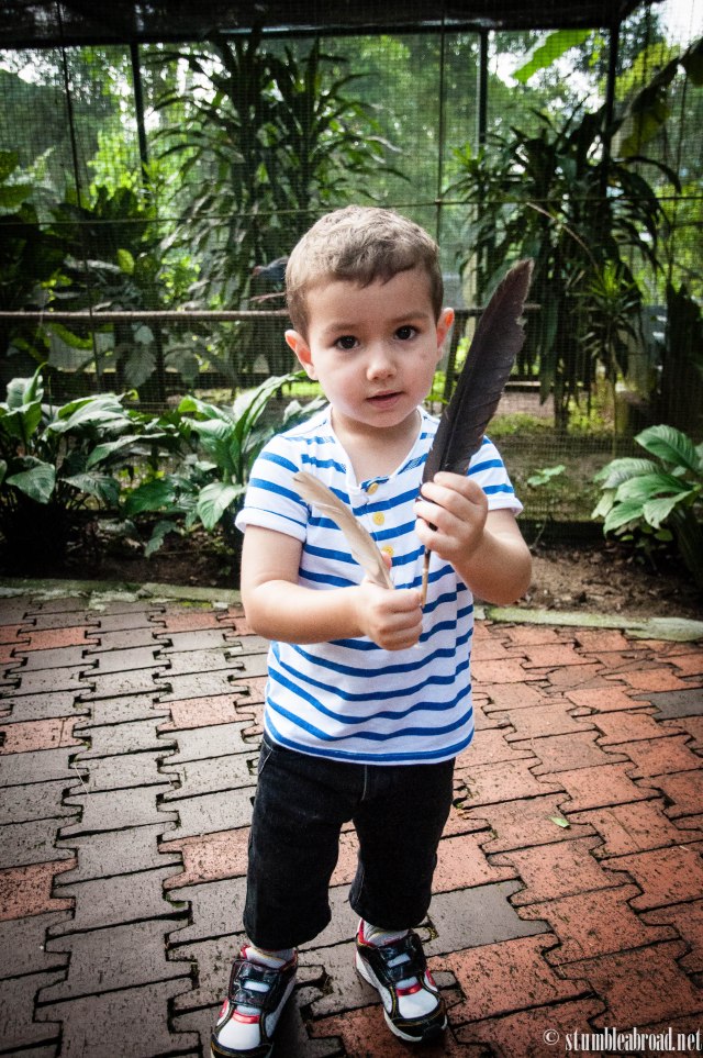 I have two feathers!