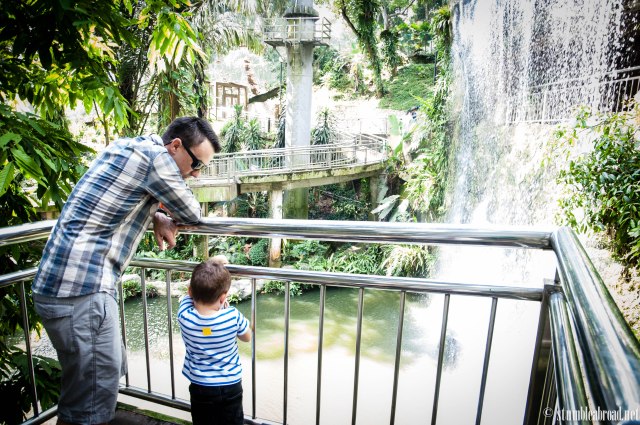 Looking at the waterfall 