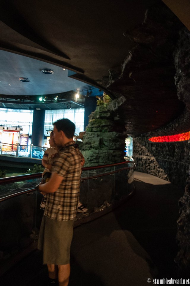 Looking at everything