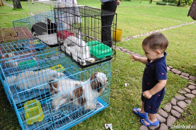 Saying hi to the puppies
