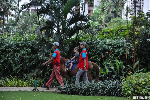 Riding thru the Jungle 