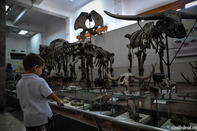 Evan loved looking at them up and close