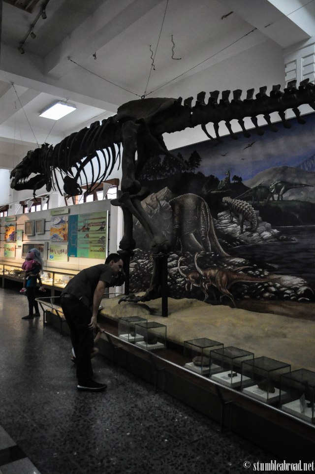 Evan loved the T-Rex