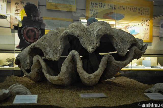 I wonder if they found any pearls in this one!