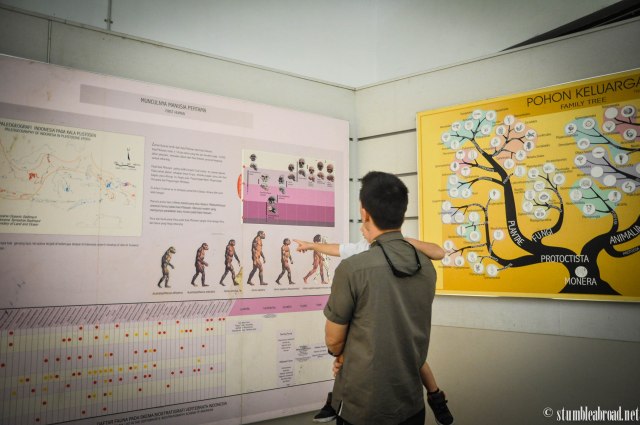 The museum was quite nice