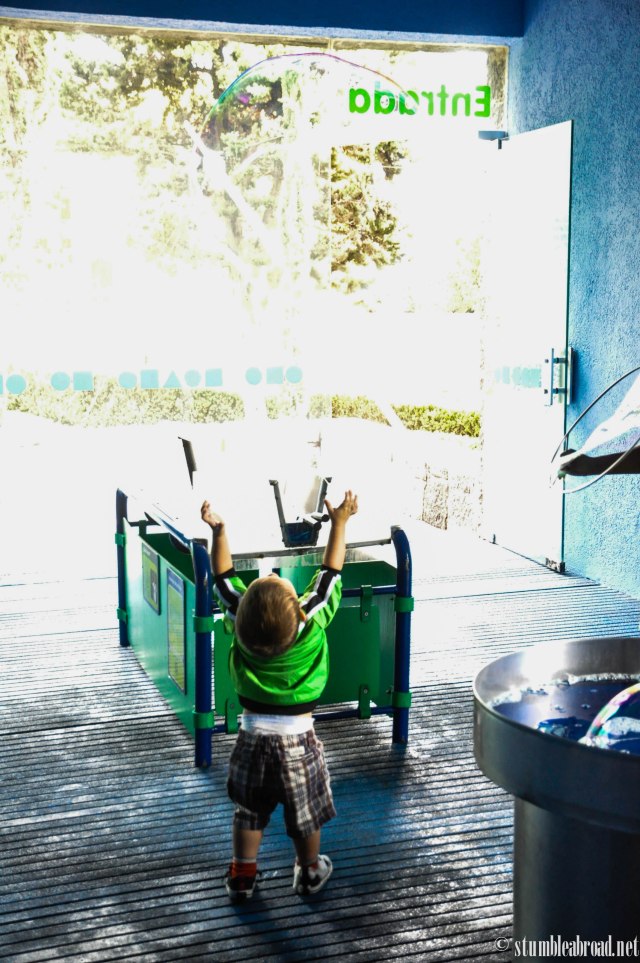 Josh chasing bubbles