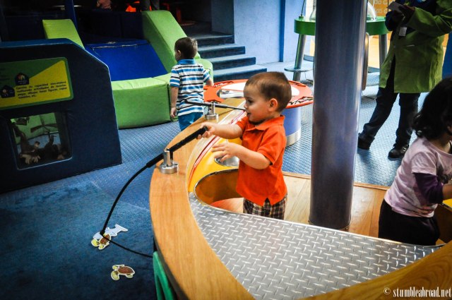 Another 5 and under area