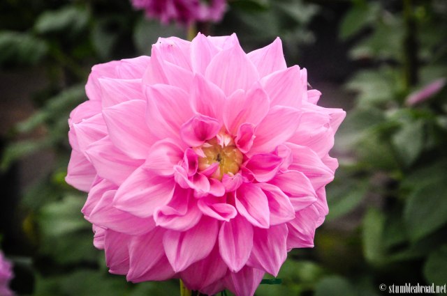 This was a beautiful one.