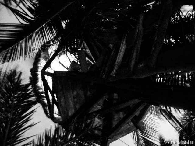 Although kids weren't allowed up there they boys loved climbing to the tree house