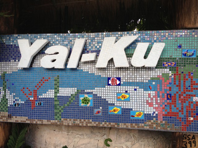 We arrived in Yal-Ku about an hour before they closed