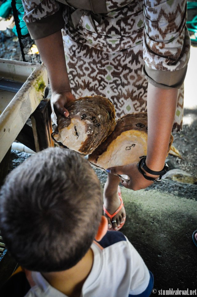 Evan was very interested 