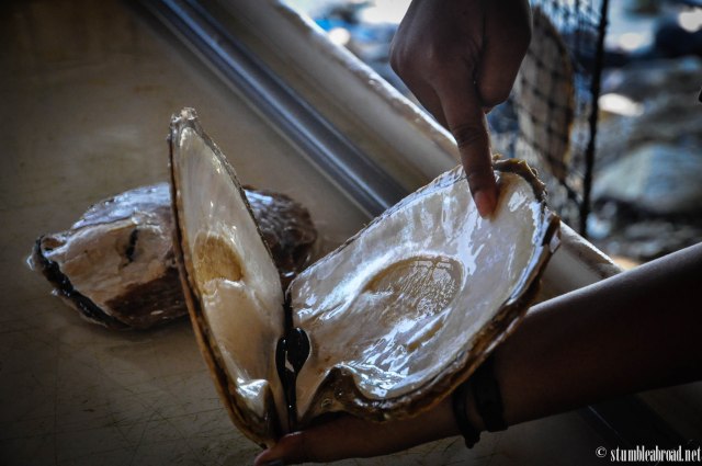 Taking a look inside one 