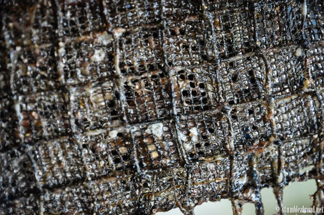 These are a bit bigger. About a year old 