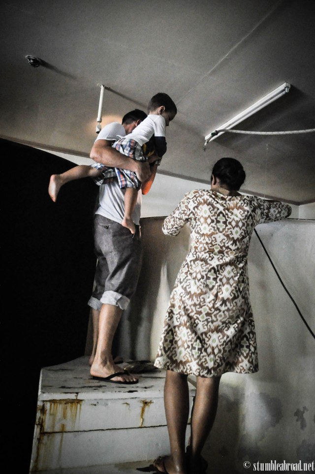 Taking a look at the tiny oysters 