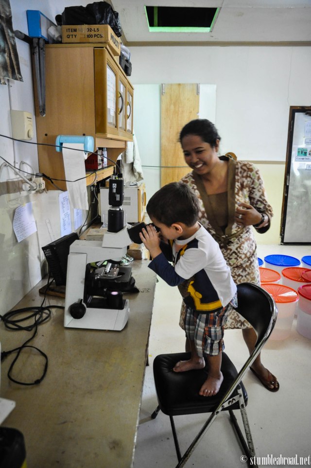 He didn't want to move away