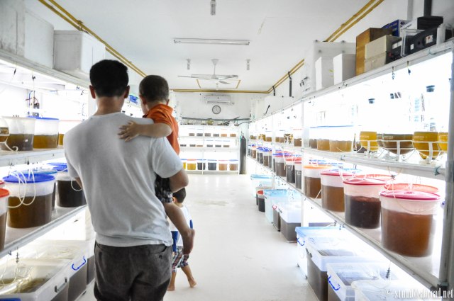 The boys admiring the many buckets. 