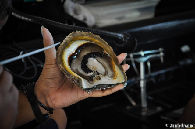 The expert was showing us how the pearls are created. 