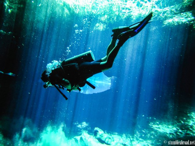 We just looove diving 