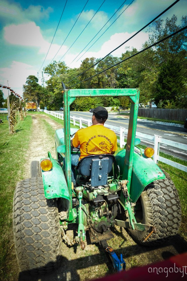 The tractor pulling the wagon