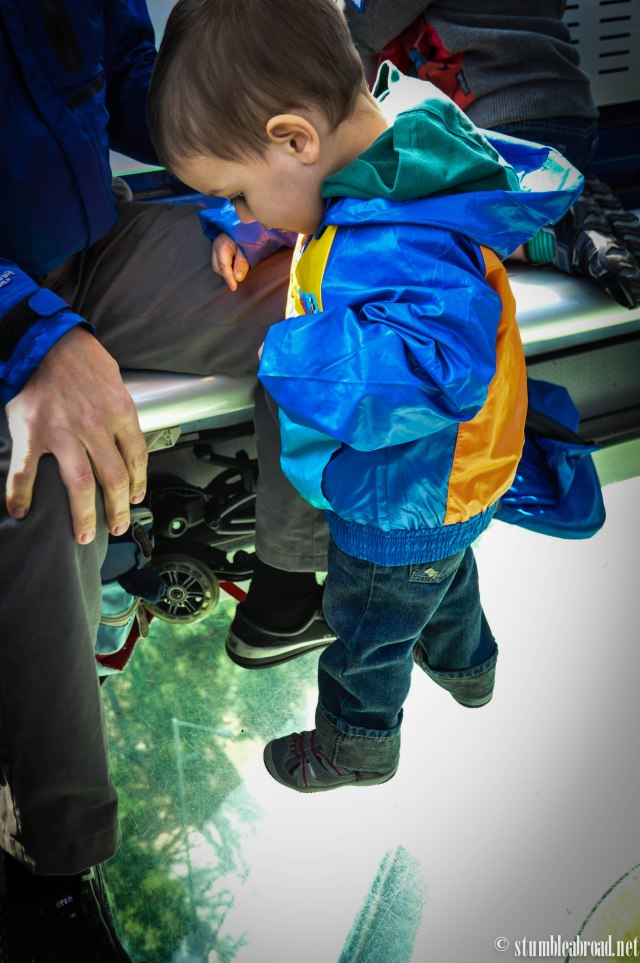 Josh wasn't sure what to think... 