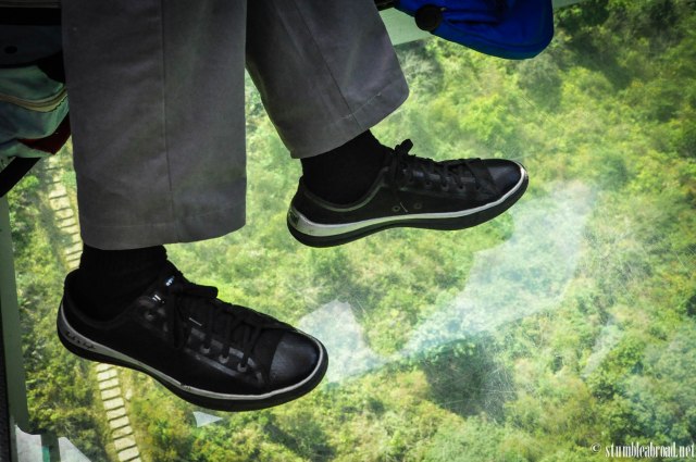 Lush greenery on the way up. 