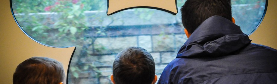 {HongKongForKids} Hong Kong&nbsp;Disneyland